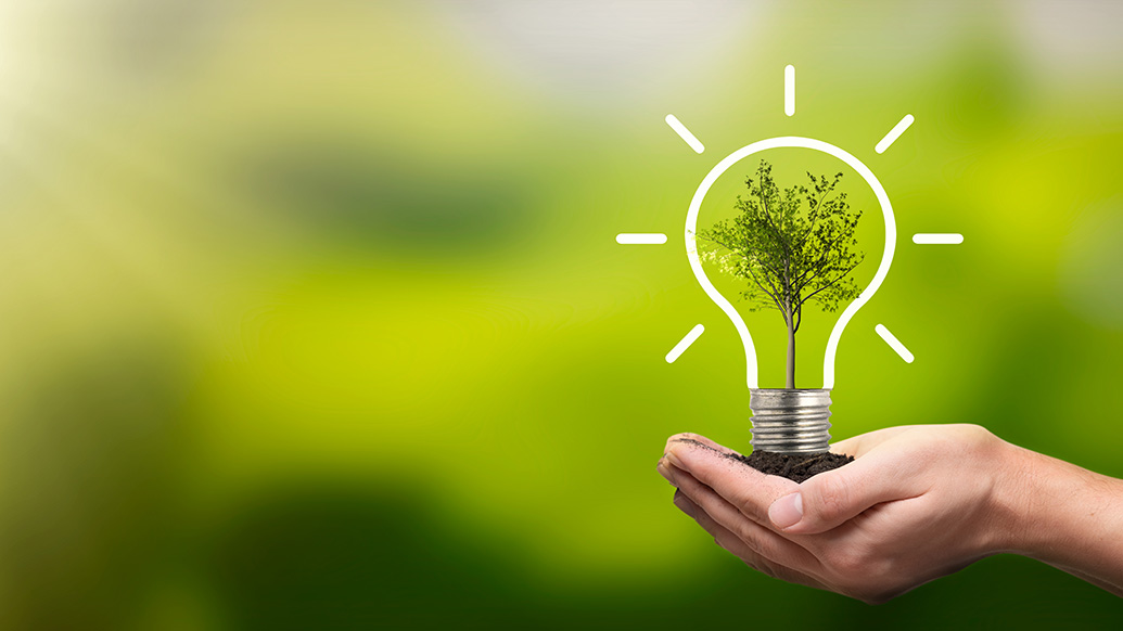 Green Innovation: A Blueprint for Sustainable Business Growth